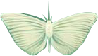 Floating Item